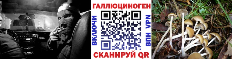 Галлюциногенные грибы мухоморы где продают Павлово